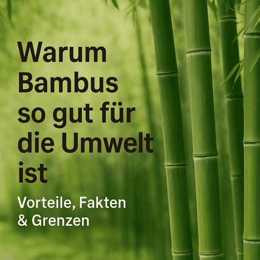 Bambus statt Plastik: Nahaufnahme eines grünen Bambuswaldes, der zeigt, warum dieses Naturmaterial der Umwelt so gut tut und als nachhaltige Alternative zu Plastik gilt.