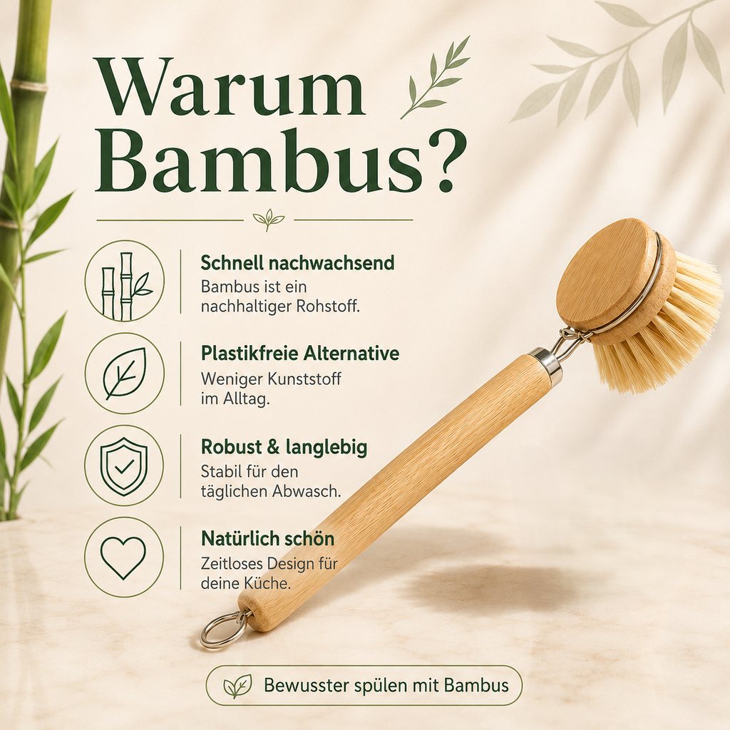 Warum Bambus Infografik zur nachhaltigen Bambus Spülbürste